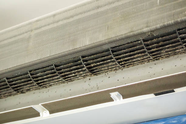 Best Best Air Duct Cleaning Company  in Wewahitchka, FL