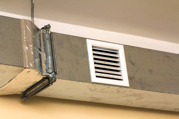 Best Ductwork Cleaning Services  in Wewahitchka, FL